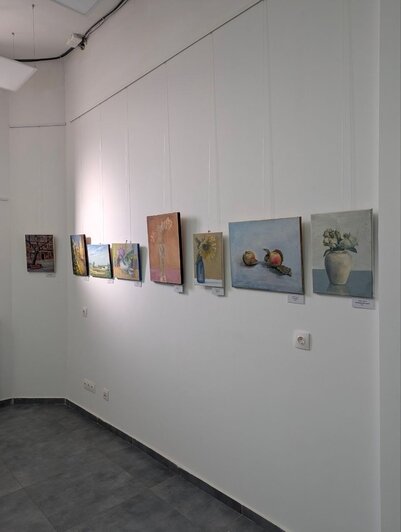 «Места, куда мы хотим возвращаться»: в синагоге открылась двойная выставка про птиц и пейзажи Калининградской области - Новости Калининграда | Фото: Татьяна Ляшук