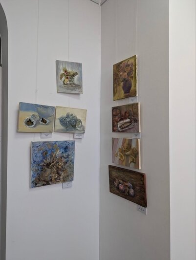 «Места, куда мы хотим возвращаться»: в синагоге открылась двойная выставка про птиц и пейзажи Калининградской области - Новости Калининграда | Фото: Татьяна Ляшук