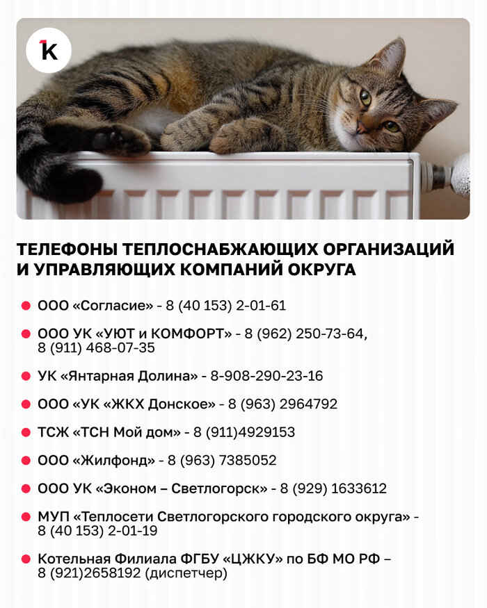 С 1 октября жителям Светлогорска будут завидовать замерзающие калининградцы - Новости Калининграда
