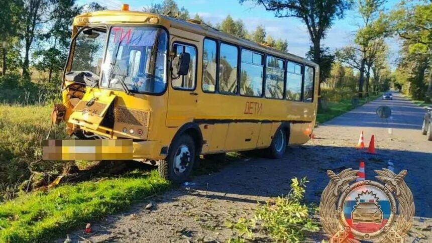 По ДТП со школьным автобусом в Неманском районе, где пострадали дети, организуют доследственную проверку - Новости Калининграда | Фото: ГАИ Калининградской области 