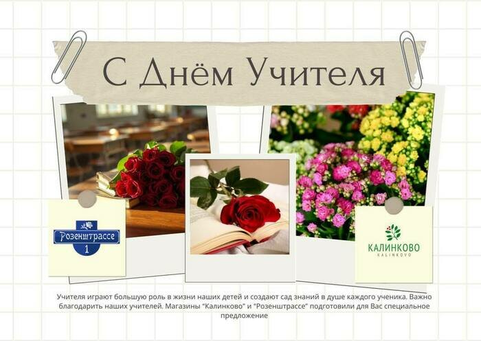 В «Калинково» рассказали, какие букеты подготовили ко Дню учителя - Новости Калининграда