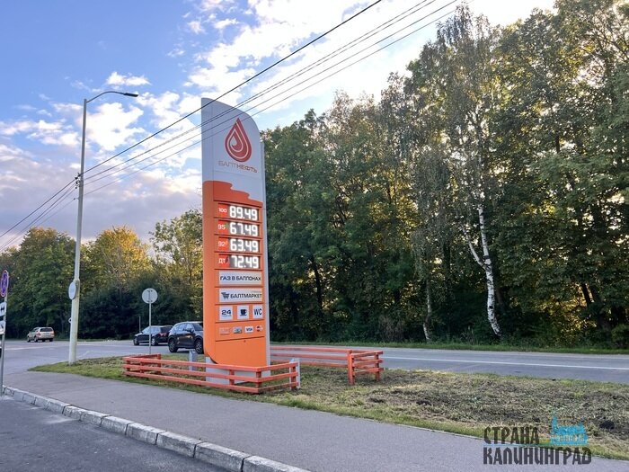 Бензин в Калининграде продолжает дорожать: где заправиться дешевле | Фото: Оксана Сазонова