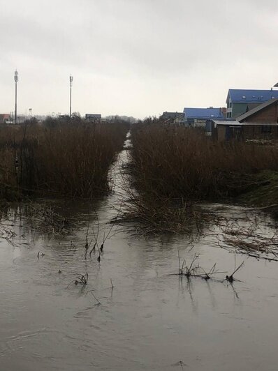 «Дом стал непригоден для проживания»: посёлок Сокольники вновь затопило (фото)    - Новости Калининграда | Фото: Валерия Ковальчук