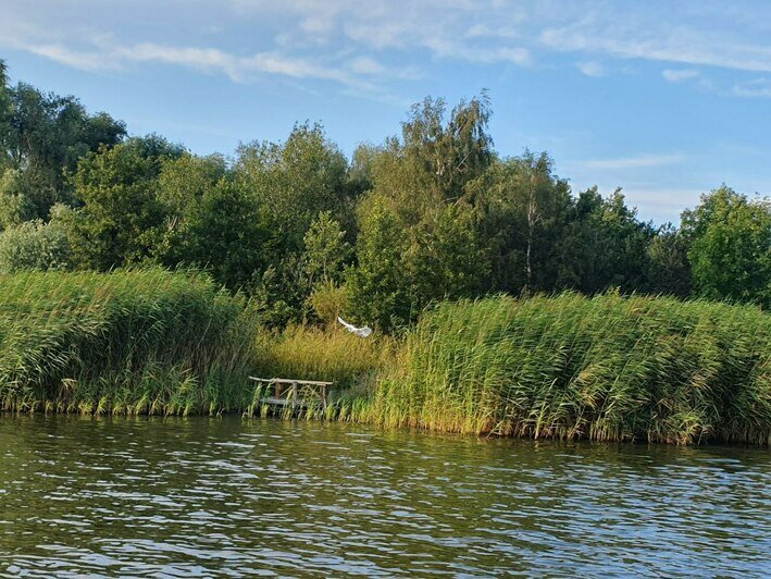 Место сброса сточных вод из калининградских очистных сооружений | Фото: Владислав Калашников