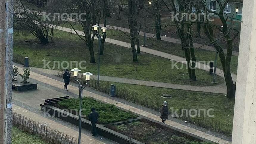 После публикации «Клопс» уличное освещение в Калининграде стали отключать позже (фото)    - Новости Калининграда | Фото: очевидец