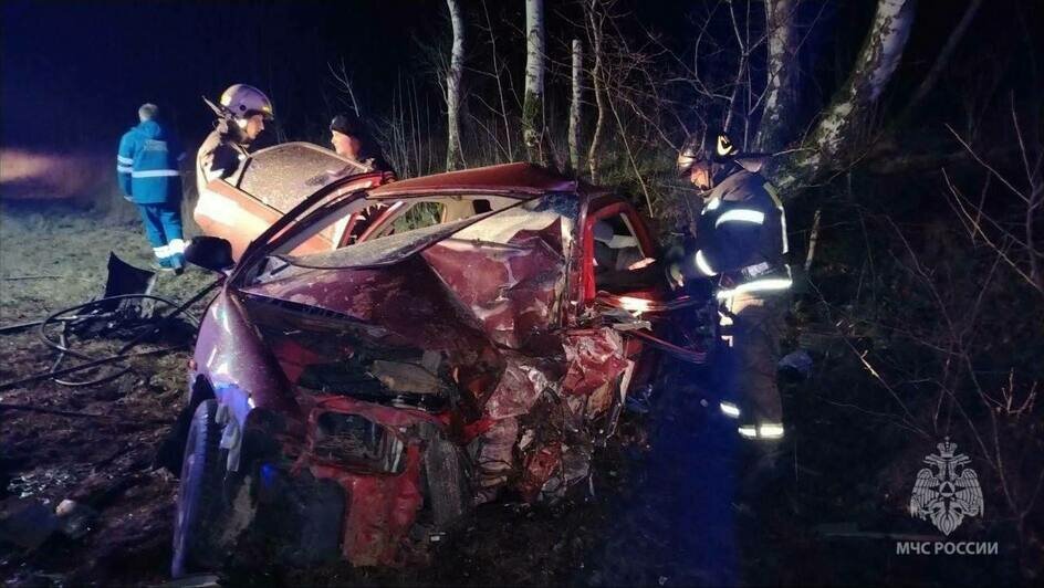 Один погиб, двое ранены: под Приморском две машины превратились в груду железа (фото) - Новости Калининграда | Фото: пресс-служба МЧС по Калининградской области