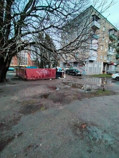 «Разносится всё ветром возле садика и школы»: где в Калининграде всё ещё царит мусорный беспредел (фото)   - Новости Калининграда | Фото: Зинаида Цапова