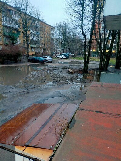 «Разносится всё ветром возле садика и школы»: где в Калининграде всё ещё царит мусорный беспредел (фото)   - Новости Калининграда | Фото: Зинаида Цапова