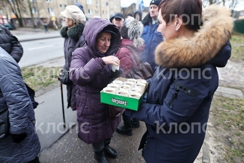 «Очередь в сотни метров, ожидающим принесли чай»: что происходит на Гагарина, где сотни калининградцев пытаются обновить транспортные карты - Новости Калининграда | Фото: Александр Подгорчук / «Клопс»