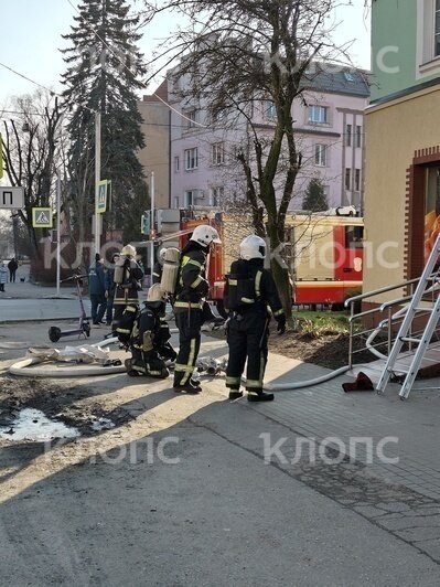 Спасатели лезут в окно: на Коммунальной произошёл пожар в жилом доме (фото, видео) - Новости Калининграда | Фото: очевидец