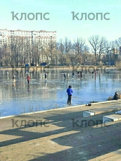 «Смотрела с замершим сердцем»: калининградцы продолжают выходить покататься на тонкий лёд (фото, видео)   - Новости Калининграда | Фото: Евгений