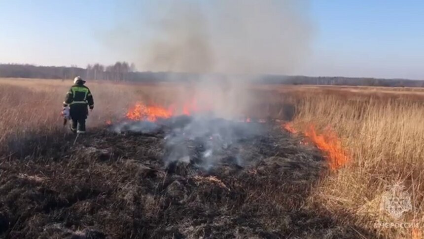 В 2025 году траву в Калининградской области начали жечь с февраля, МЧС просит так не делать  - Новости Калининграда | Фото: МЧС Калининградской области 