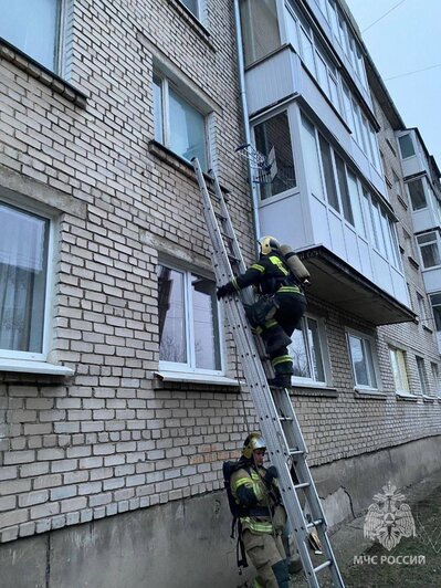 На кухне загорелась бумага: в многоквартирном доме в Гусеве потушили пожар (фото)  - Новости Калининграда | Фото: МЧС Калининградской области 