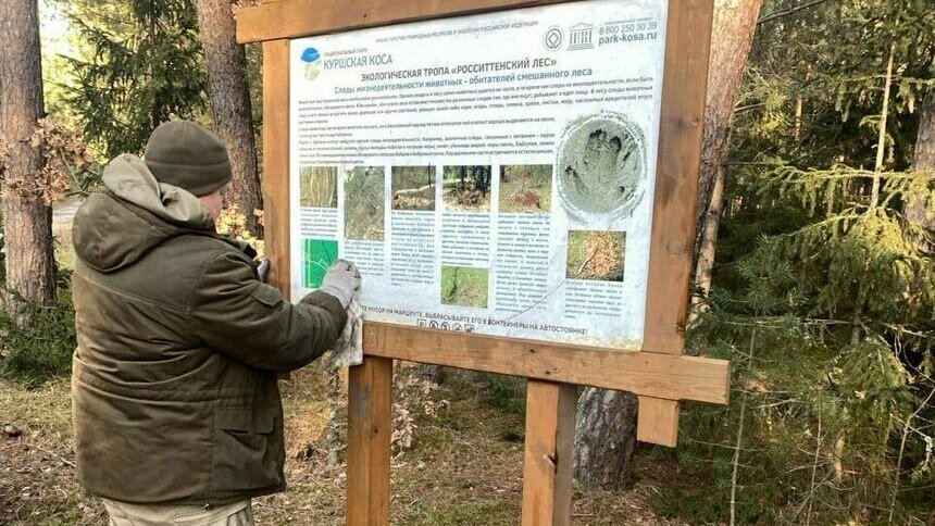 Вандал с Куршской косы, который портил имущество и позорил директора нацпарка, заплатит штраф - Новости Калининграда | Фото: телеграм-канал Анатолия Калины