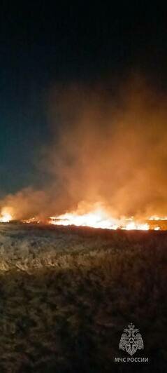 Под Зеленоградском неизвестные подожгли траву на поселковом пустыре (фото) - Новости Калининграда | Фото: МЧС региона