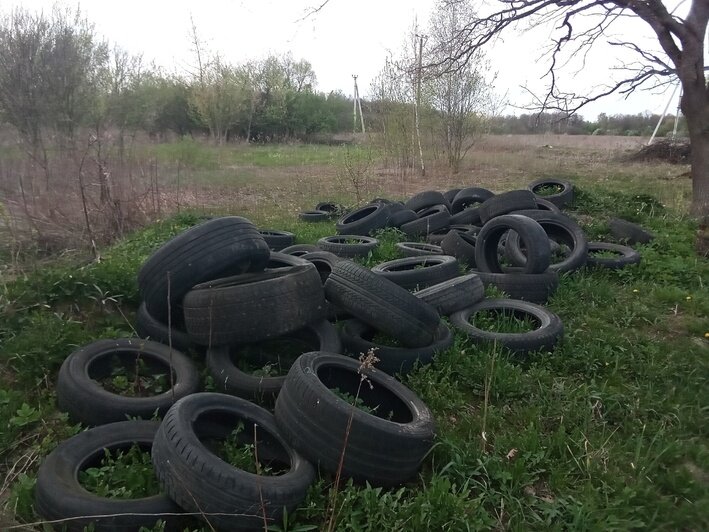 Свалка покрышек в лесу около микрорайона Космодемьянского  | Фото: Ruslan Entheogenik (в комментариях под постом «Клопс»)