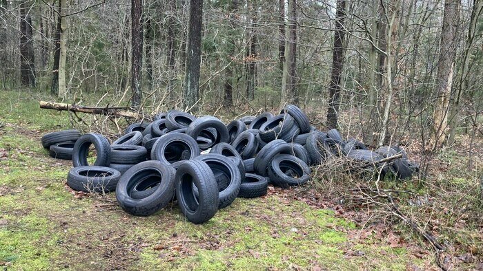 Свалка покрышек в лесу около Балтийского шоссе  | Фото: Маруся