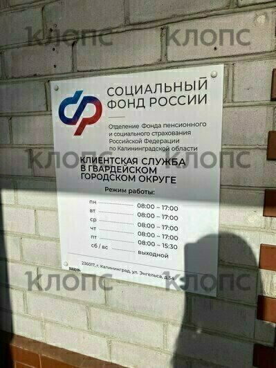 «Чуть ли не полз по лестницам»: в Гвардейске люди с инвалидностью вынуждены карабкаться по ступенькам, чтобы попасть в СФР (фото) - Новости Калининграда | Фото: Эсмина Агмадян