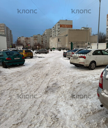 «Мне трудно идти по сугробам! У меня ножки болят!»: «Клопс» проверил, как некоторые городские тротуары очищены от снега (фото, видео) - Новости Калининграда | Фото: «Клопс»