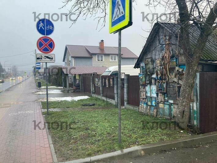 В Калининграде вандалы оторвали руку бабушке с собачкой и украли несколько картин с уличной выставки (фото, видео)   - Новости Калининграда | Фото: «Клопс»