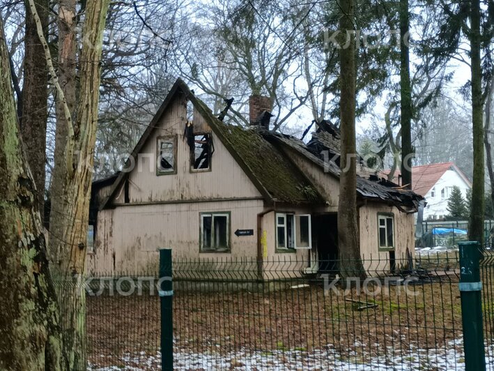 В Светлогорске на Токарева сгорел заброшенный дом с мансардой (фото)  - Новости Калининграда | Фото: очевидец 