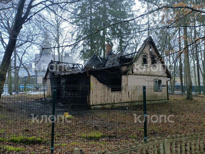 В Светлогорске на Токарева сгорел заброшенный дом с мансардой (фото)  - Новости Калининграда | Фото: очевидец 