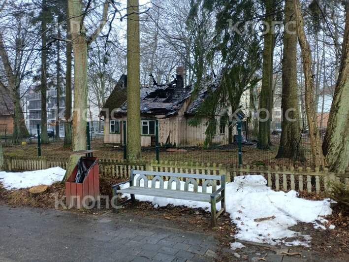 В Светлогорске на Токарева сгорел заброшенный дом с мансардой (фото)  - Новости Калининграда | Фото: очевидец 