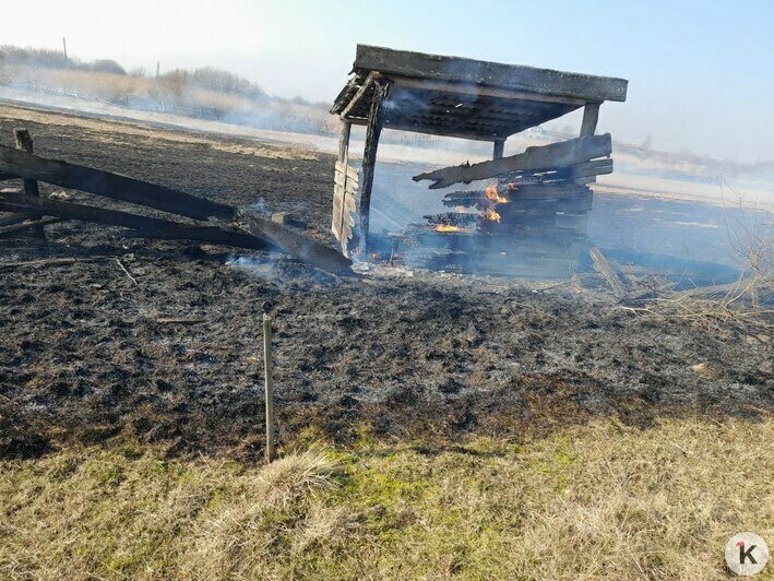 В Победино ежедневно борются с палом травы | Фото: Олеся