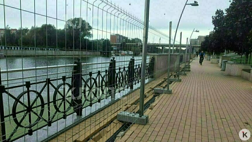 Власти Калининграда снова закажут обследование набережной Трибуца, глобальный ремонт можно ждать в 2026 году - Новости Калининграда | Фото: Александр Подгорчук / Архив «Клопс»