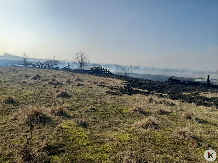 В Победино ежедневно борются с палом травы | Фото: Олеся