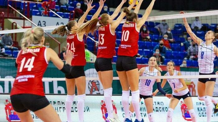 Наши девушки огорчили  «Динамо» и приручили пчел