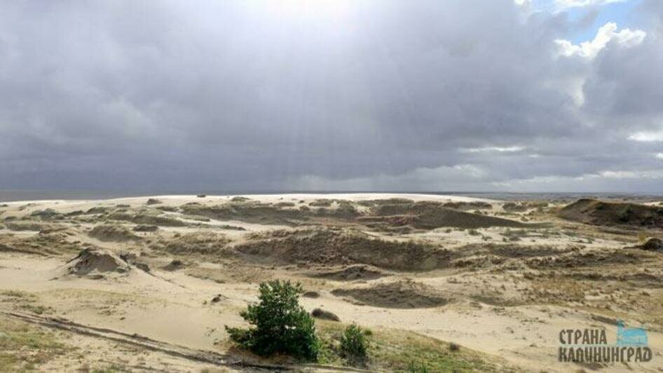 Тайный мир Куршской косы