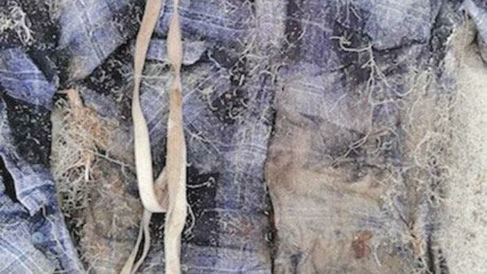 Нашли через 20 лет