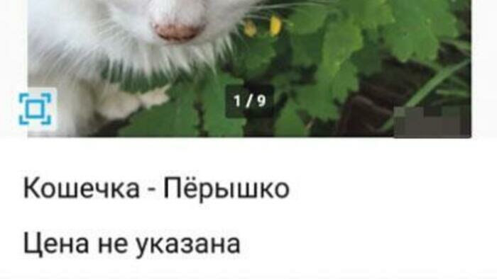 От поселковой бродяжки до столичной Принцессы