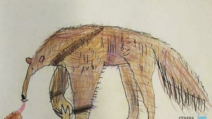 Зоопарку перечислили больше миллиона рублей!