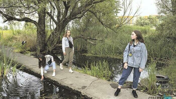 Новый тренд зеленых городов – огороды для всех желающих