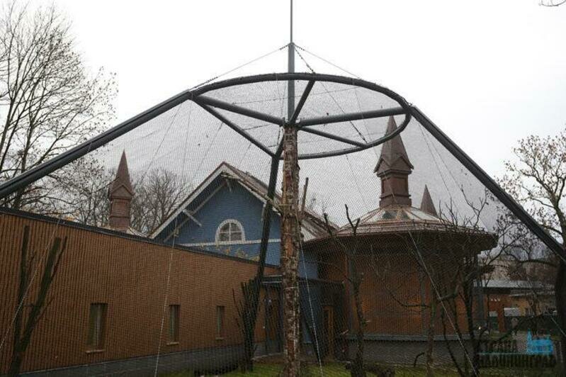 Дома тропической птицы - 2019