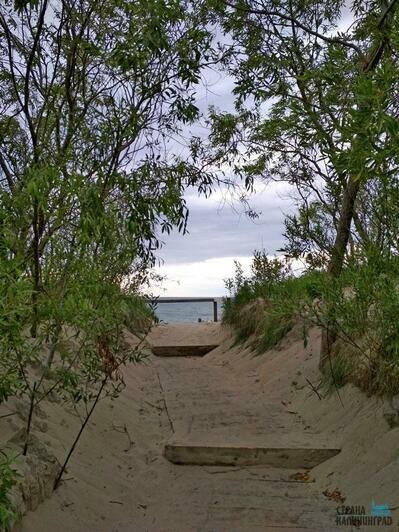 Тайный мир Куршской косы