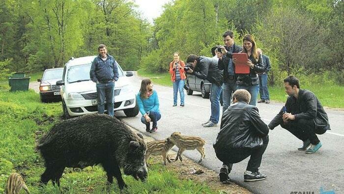 Защитники природы  обменялись опытом 