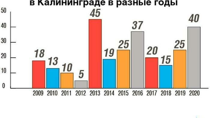 Некоторые стобалльники сдавали ЕГЭ ради интереса