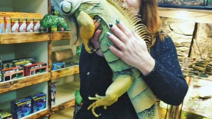 Экзотические животные зачастую страдают от безграмотности владельцев