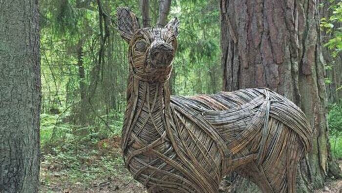 Посещение Куршской косы дорожает вдвое