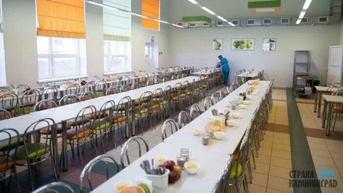 &quot;Аллилуйя, они уходят&quot;: как калининградские чиновники школьные завтраки инспектировали