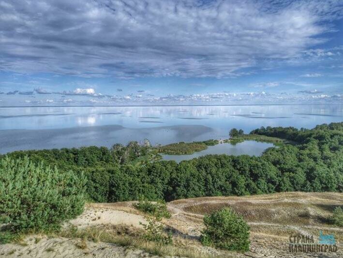 Тайный мир Куршской косы