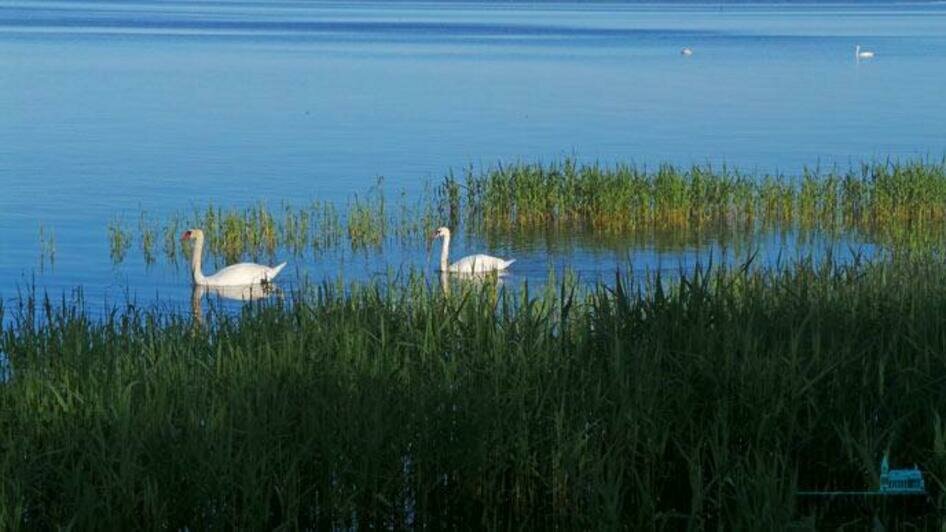 Тайный мир Куршской косы