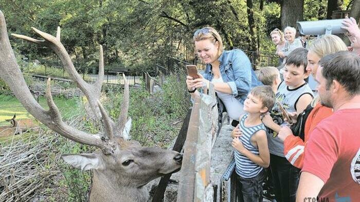 Зачем зоопарку спасать тюленей и держать бизонов