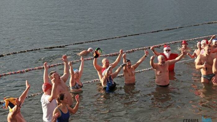 Самому юному моржу  всего шесть месяцев