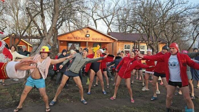 Самому юному моржу  всего шесть месяцев