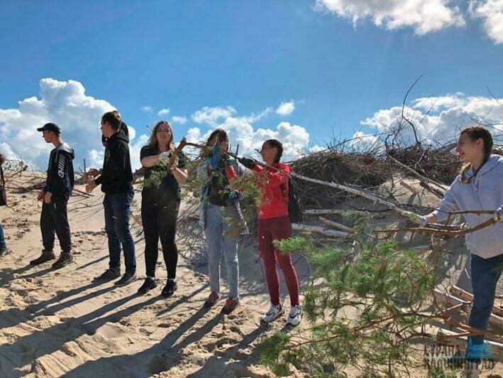 Защитили авандюну  от разрушения