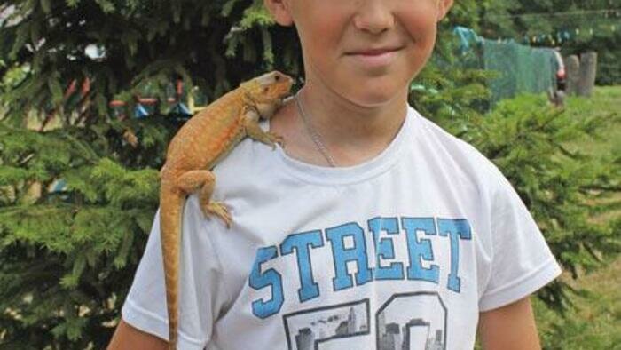 Живой дракон